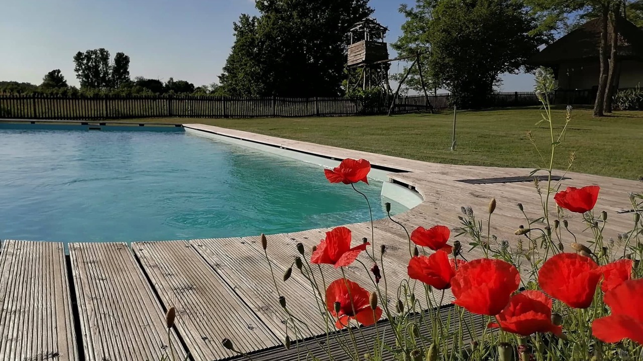 Photo of Outdoor in Orgovany