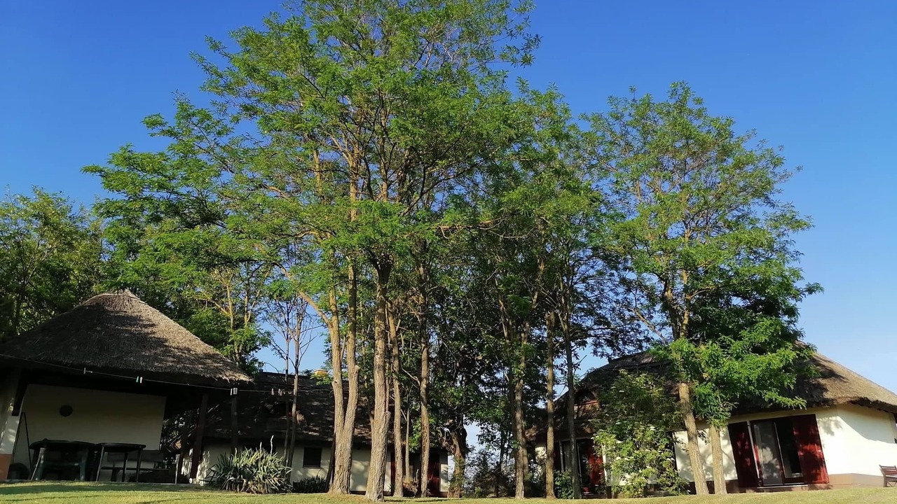 Photo of Outdoor in Orgovany