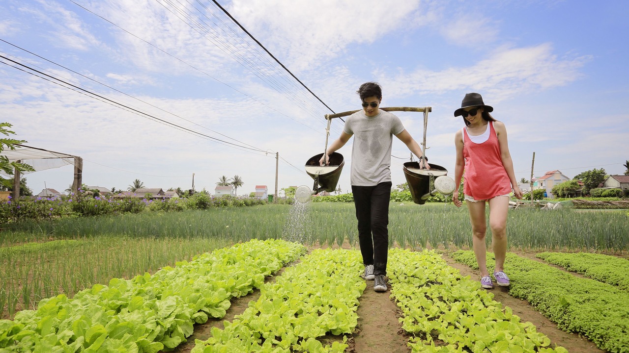 Photo of Others in Thanh Ha