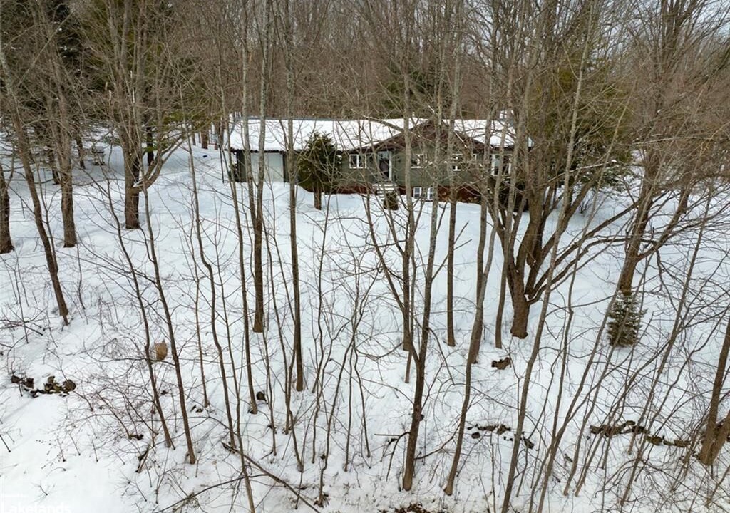 Photo of Outdoor in Grey Highlands