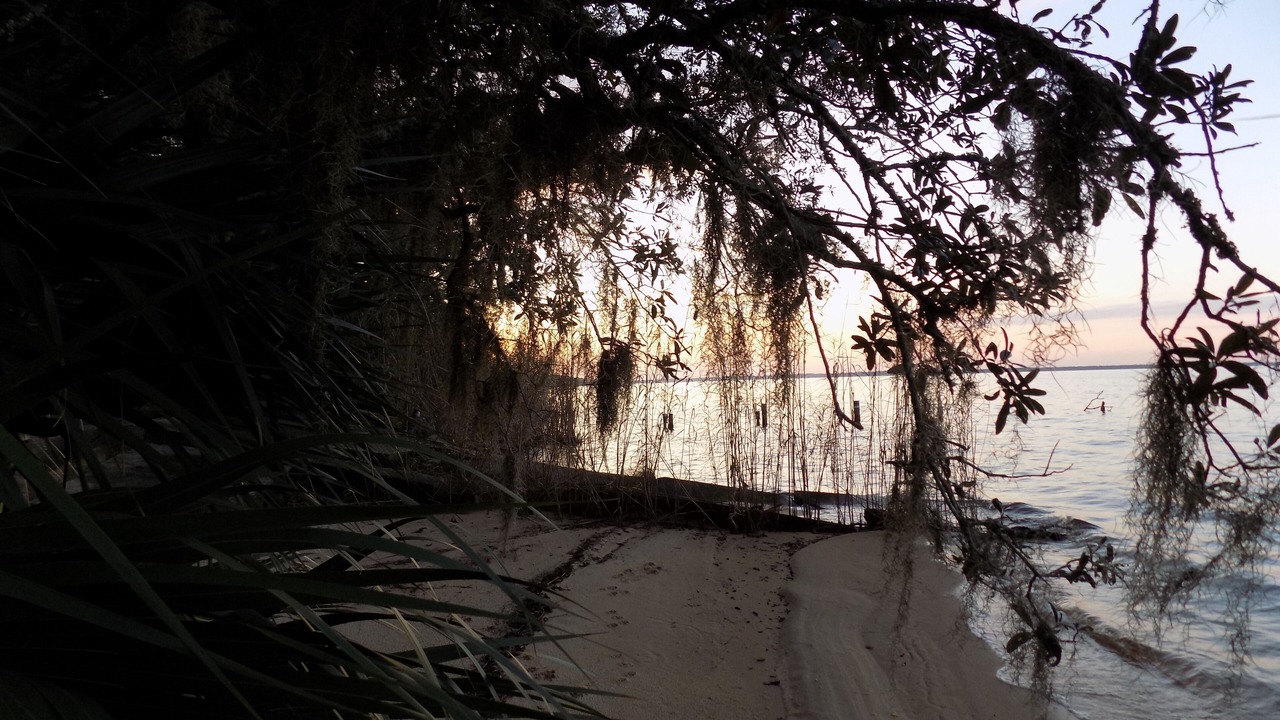 Photo of Others in Florida Panhandle