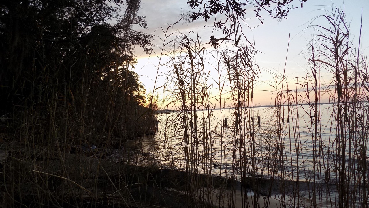 Photo of Outdoor in Florida Panhandle