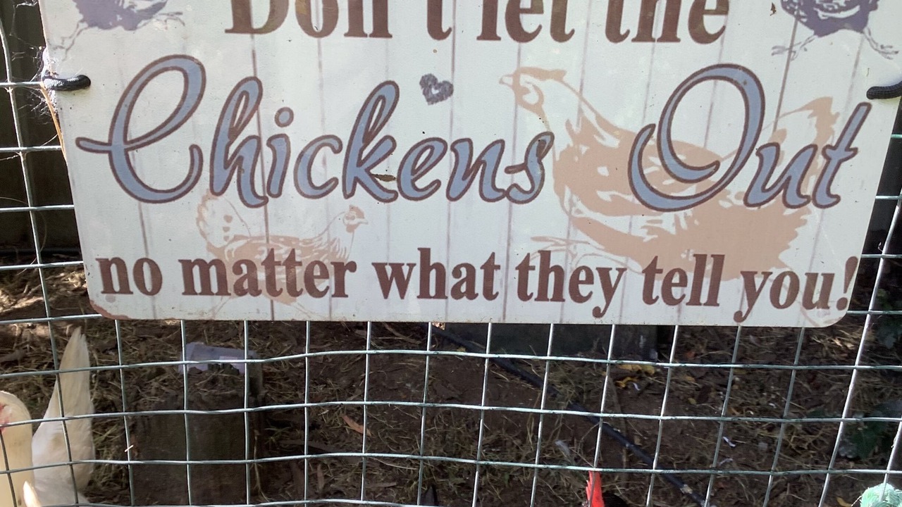 Photo of Outdoor in Hawker