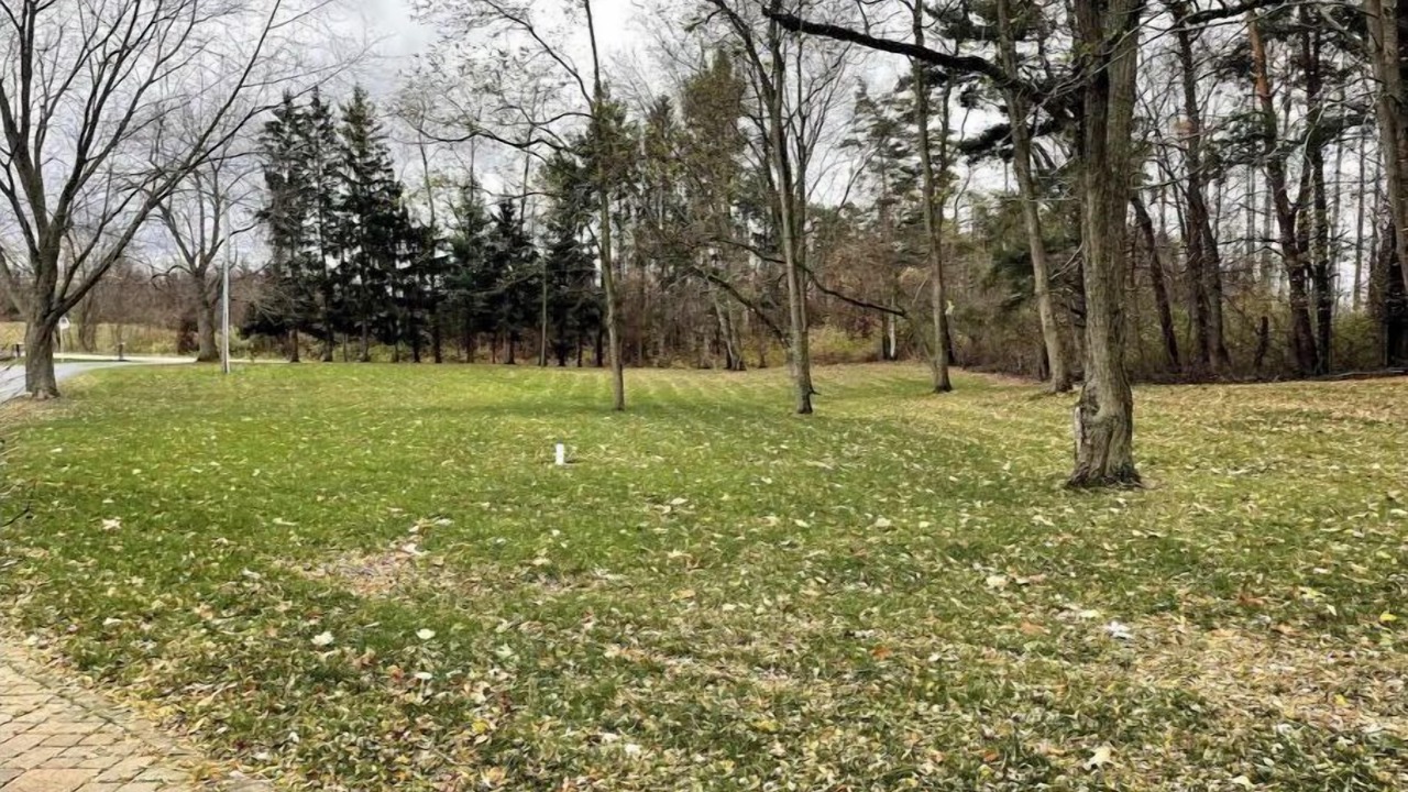 Photo of Outdoor in Westfield
