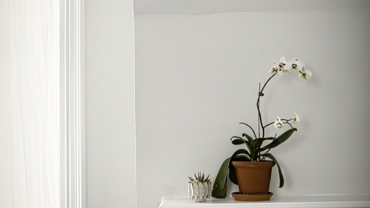 Photo of Bedroom in Elora