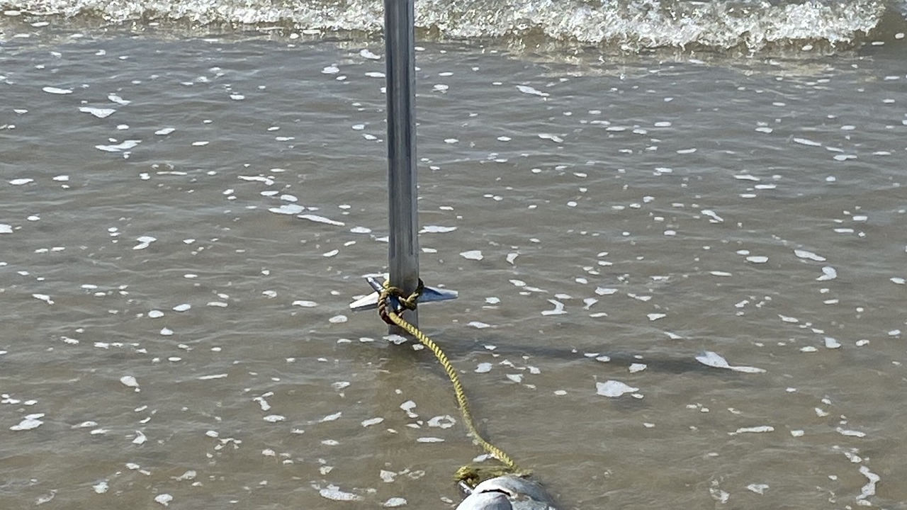 Photo of Others in North Cape May