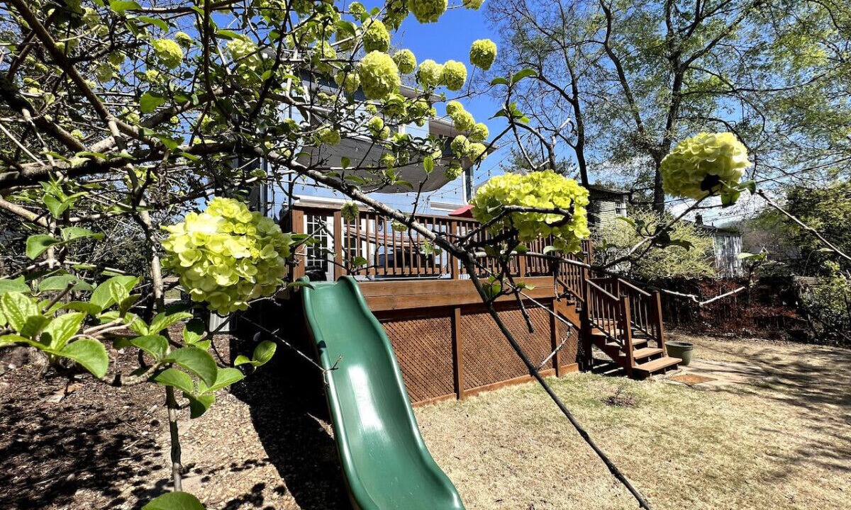 Photo of Outdoor in Five Points South