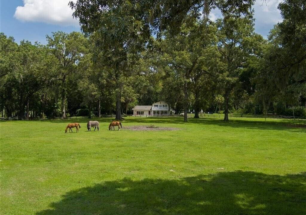Photo of Others in Ocala