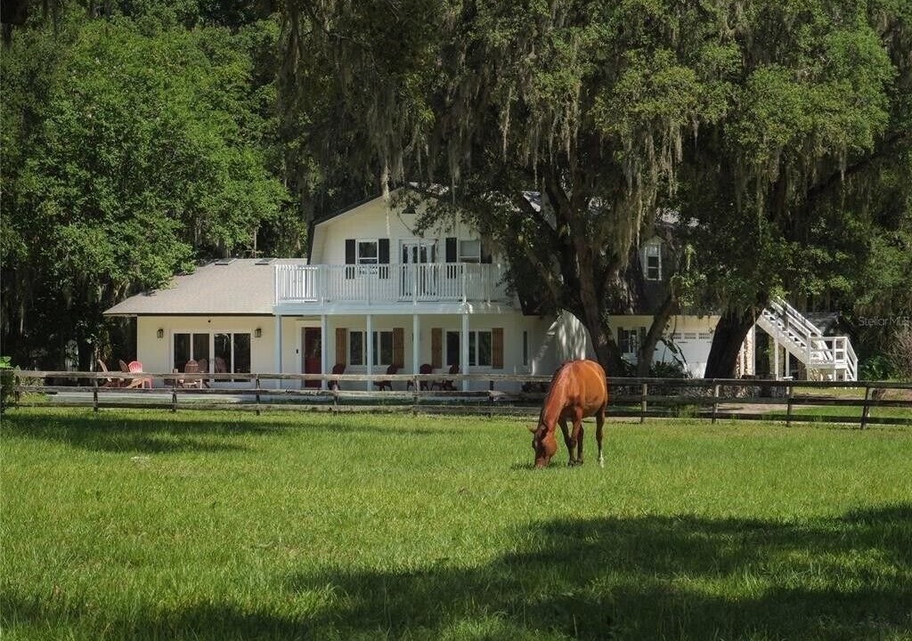 Photo of Others in Ocala