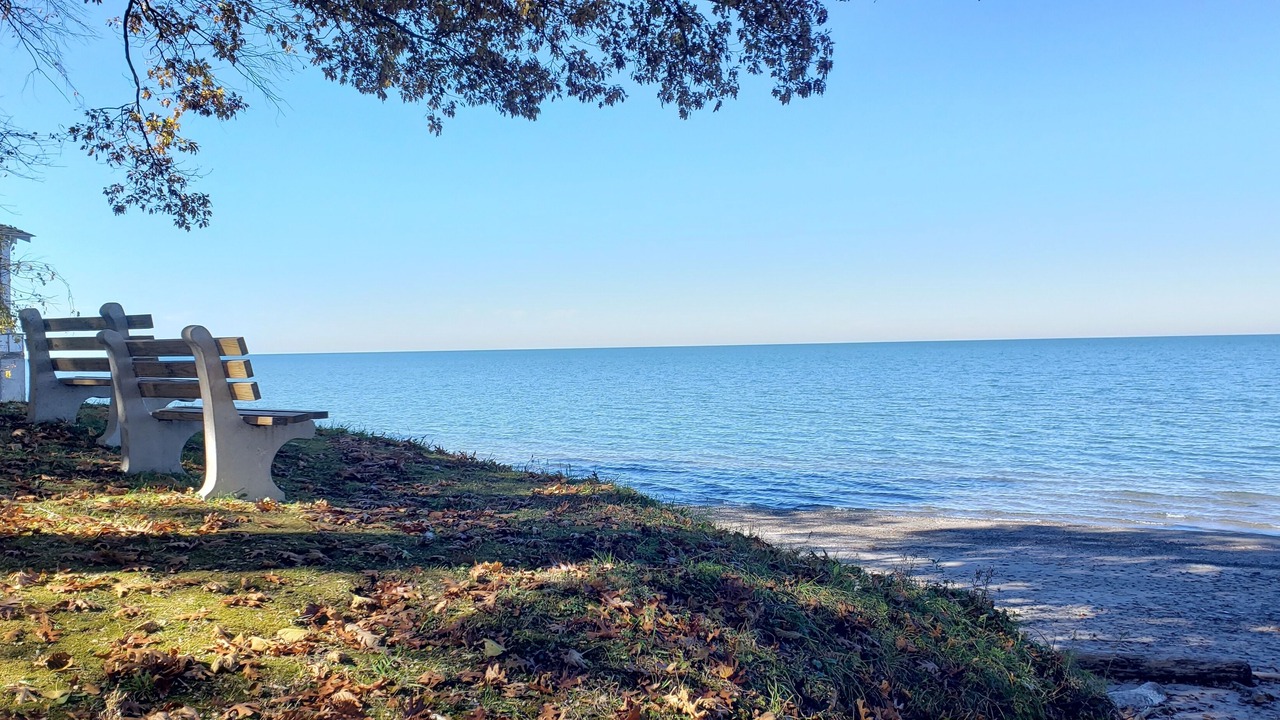 Photo of Others in Lake Erie Beach