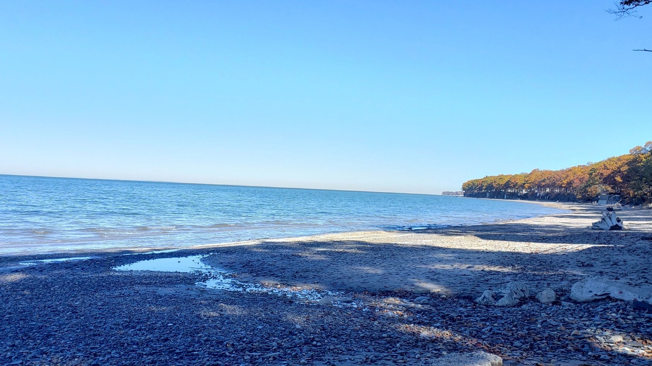 Photo of Others in Lake Erie Beach