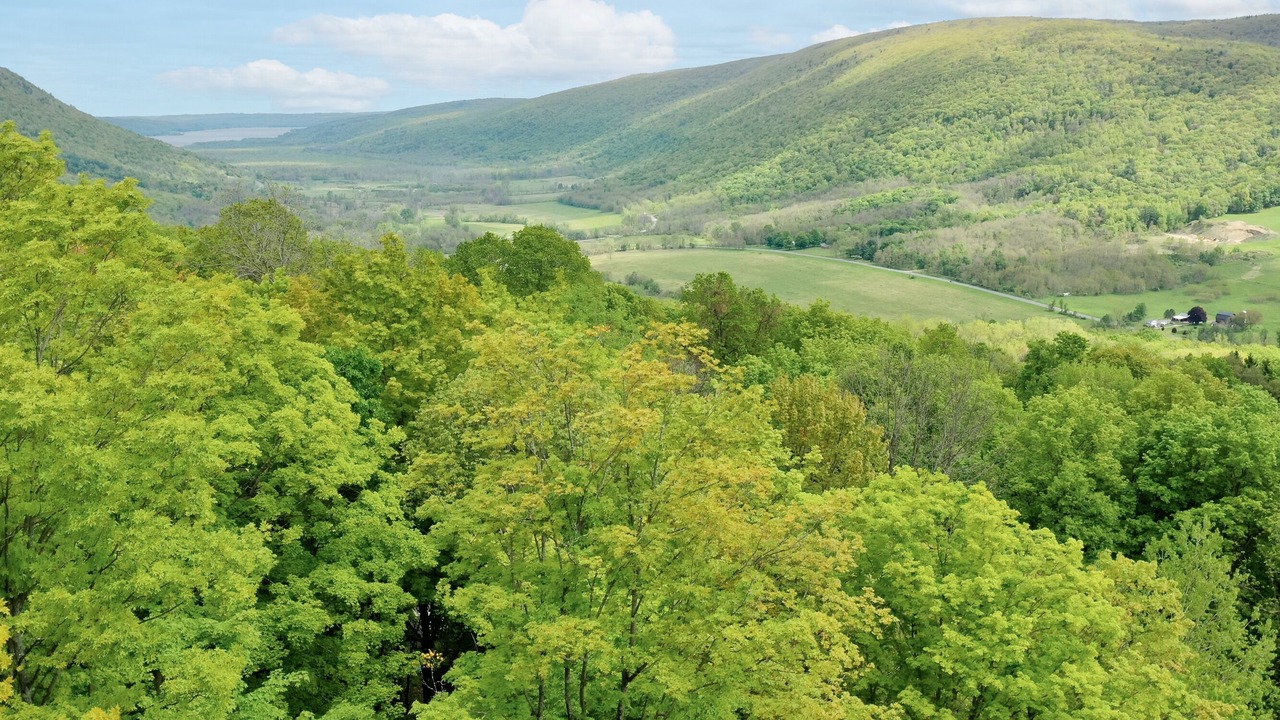 Photo of Outdoor in Springwater