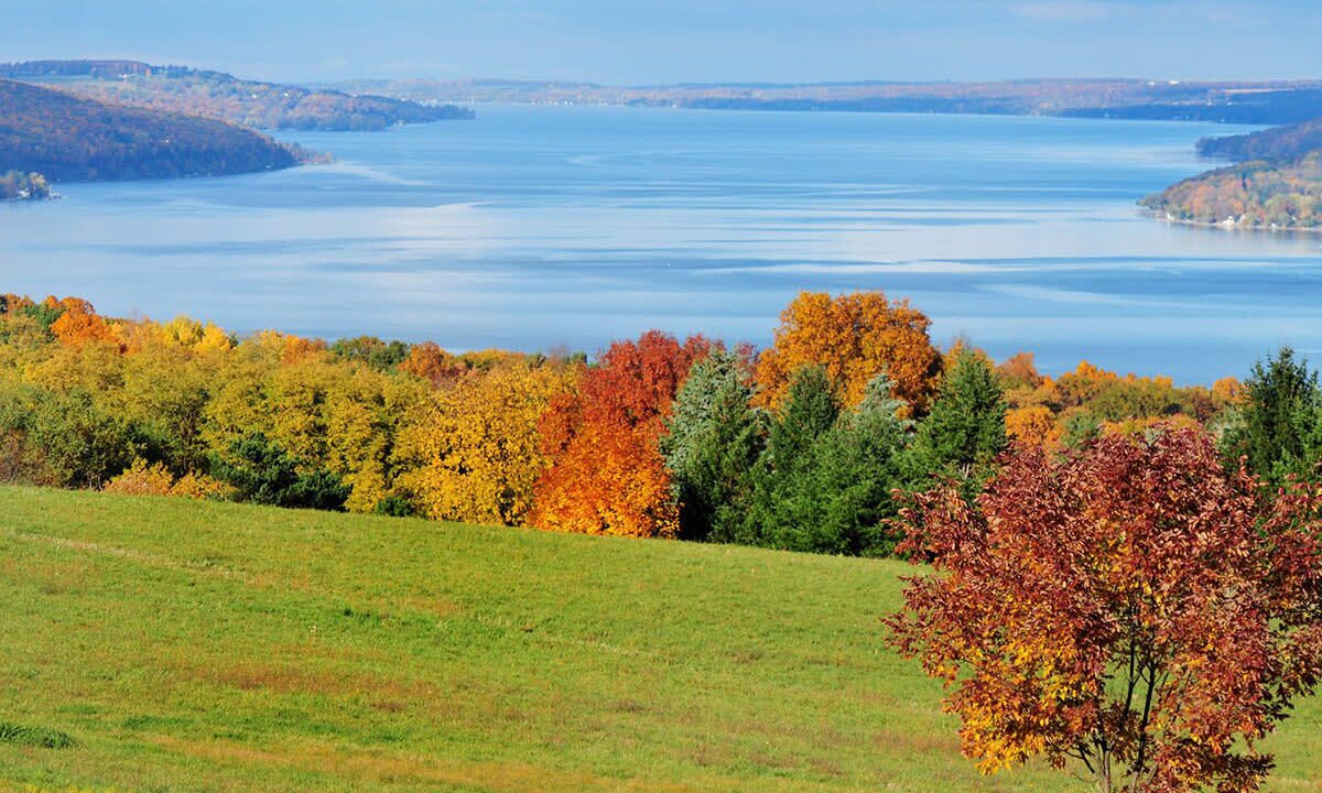 Photo of Outdoor in Springwater