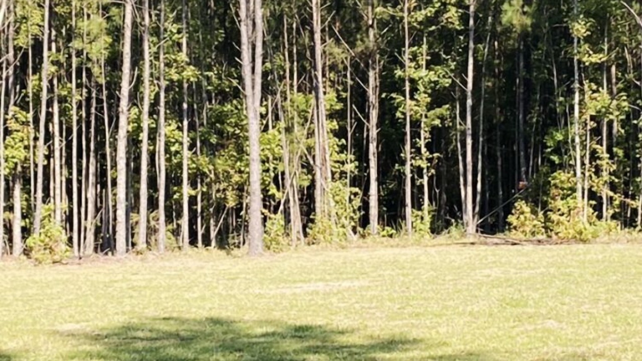Photo of Others in West Point