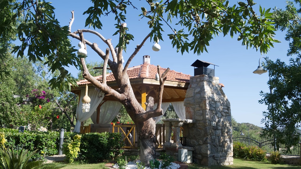 Photo of Outdoor in Mesudiye