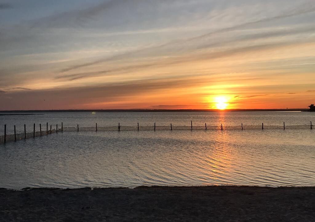 Photo of Others in Barnegat Light
