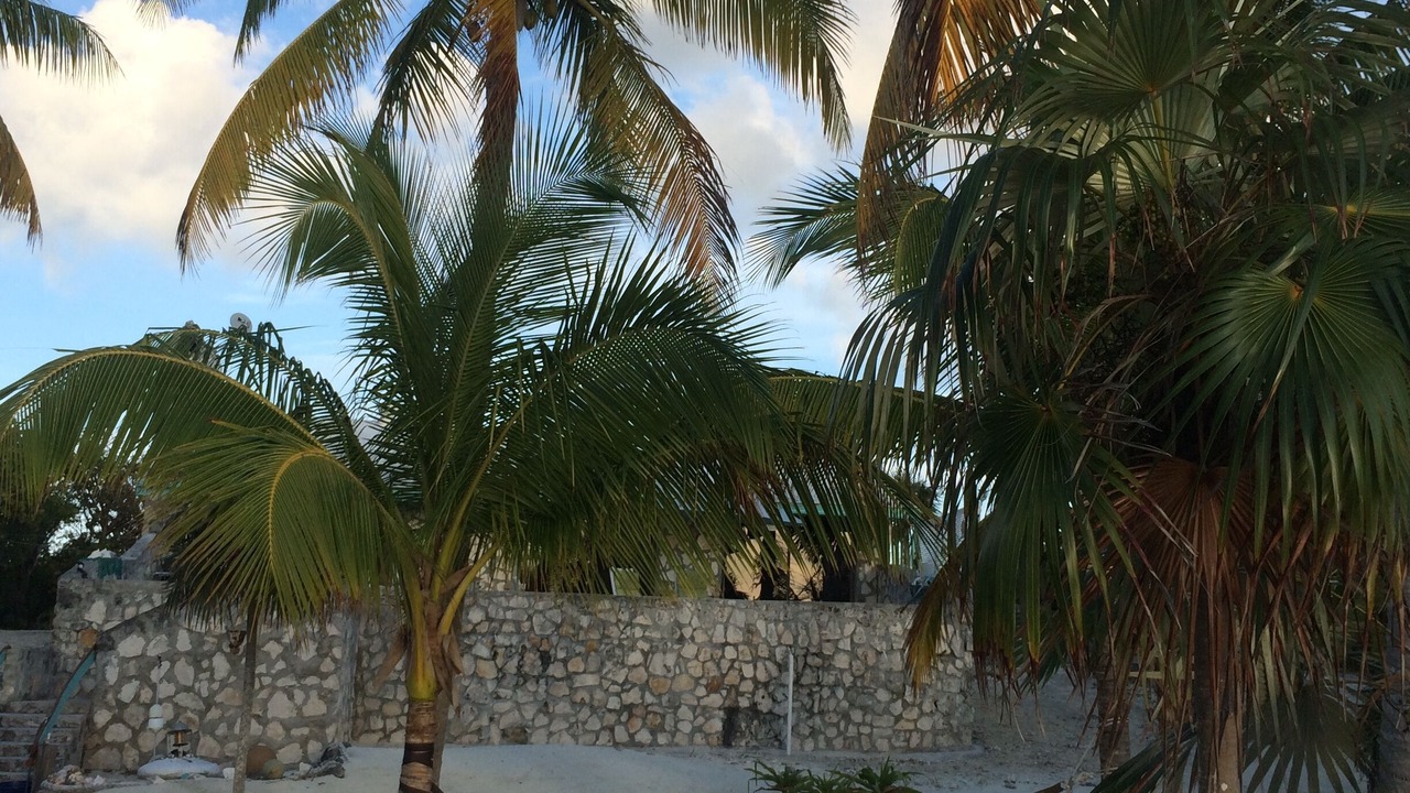 Photo of Outdoor in Old Bight