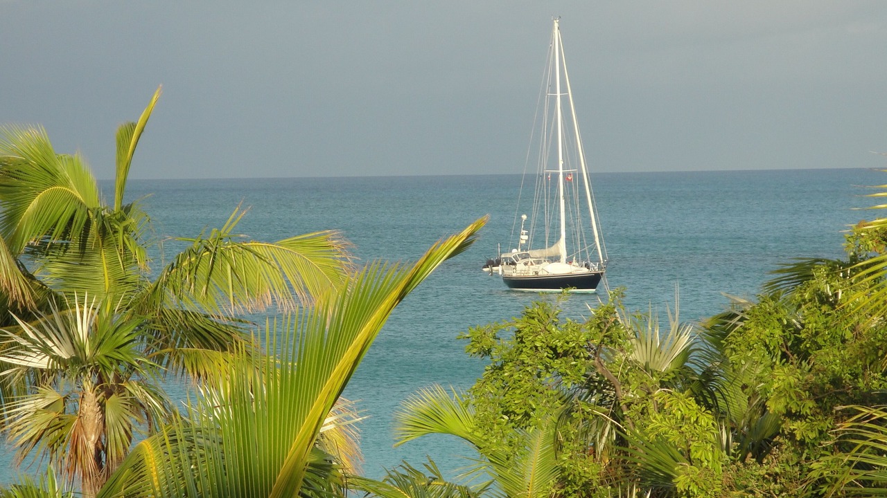 Photo of Others in Old Bight