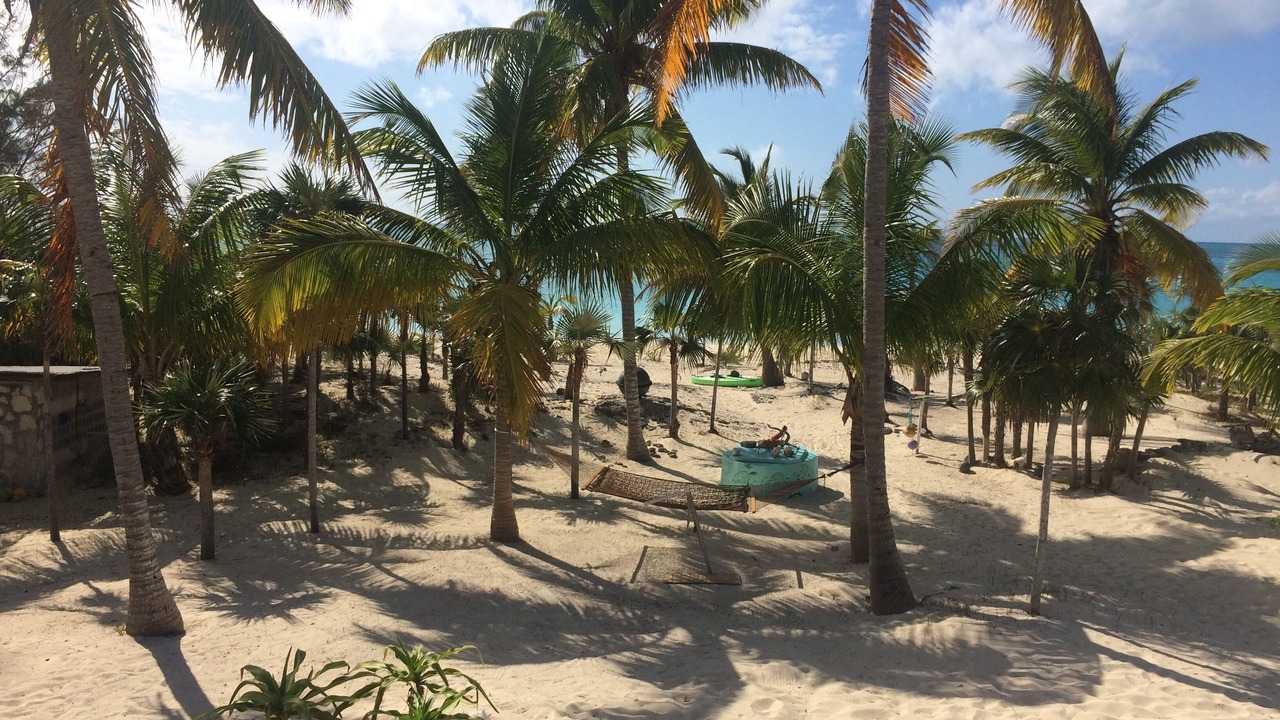 Photo of Others in Old Bight