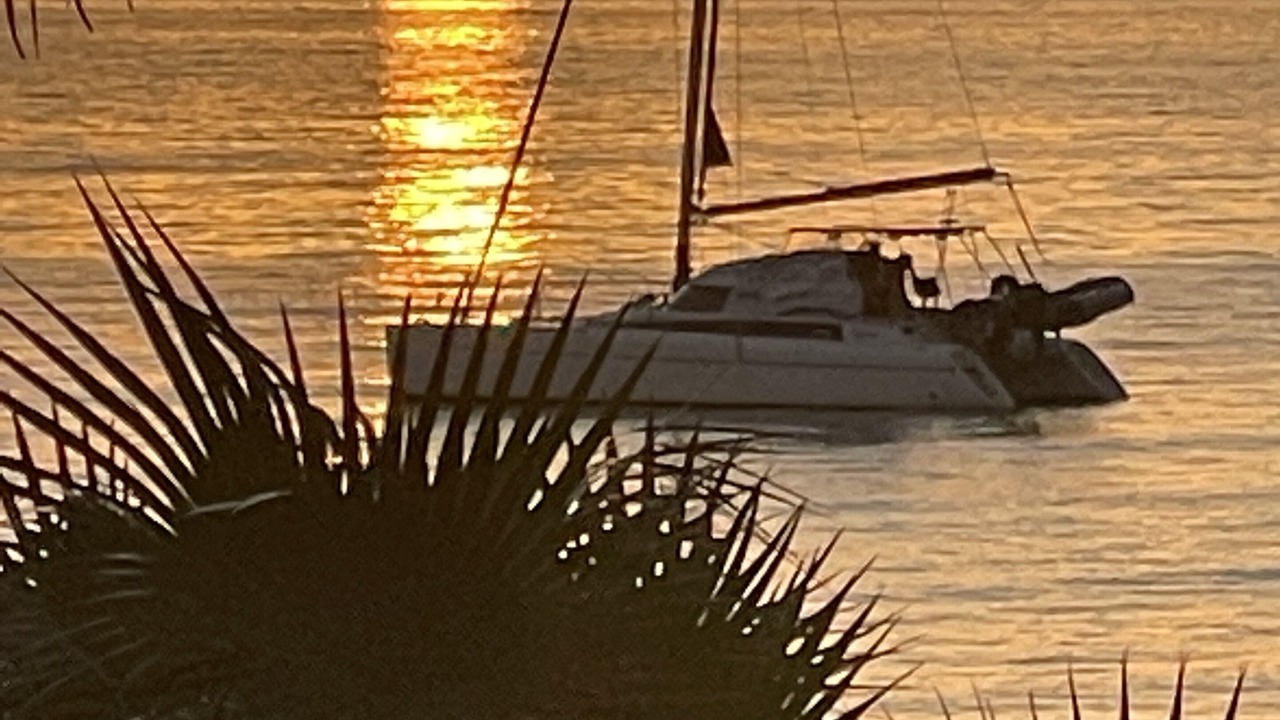 Photo of Others in Old Bight
