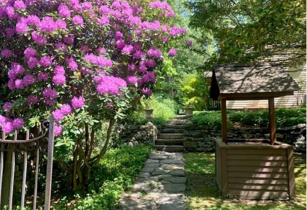 Photo of Outdoor in South Salem