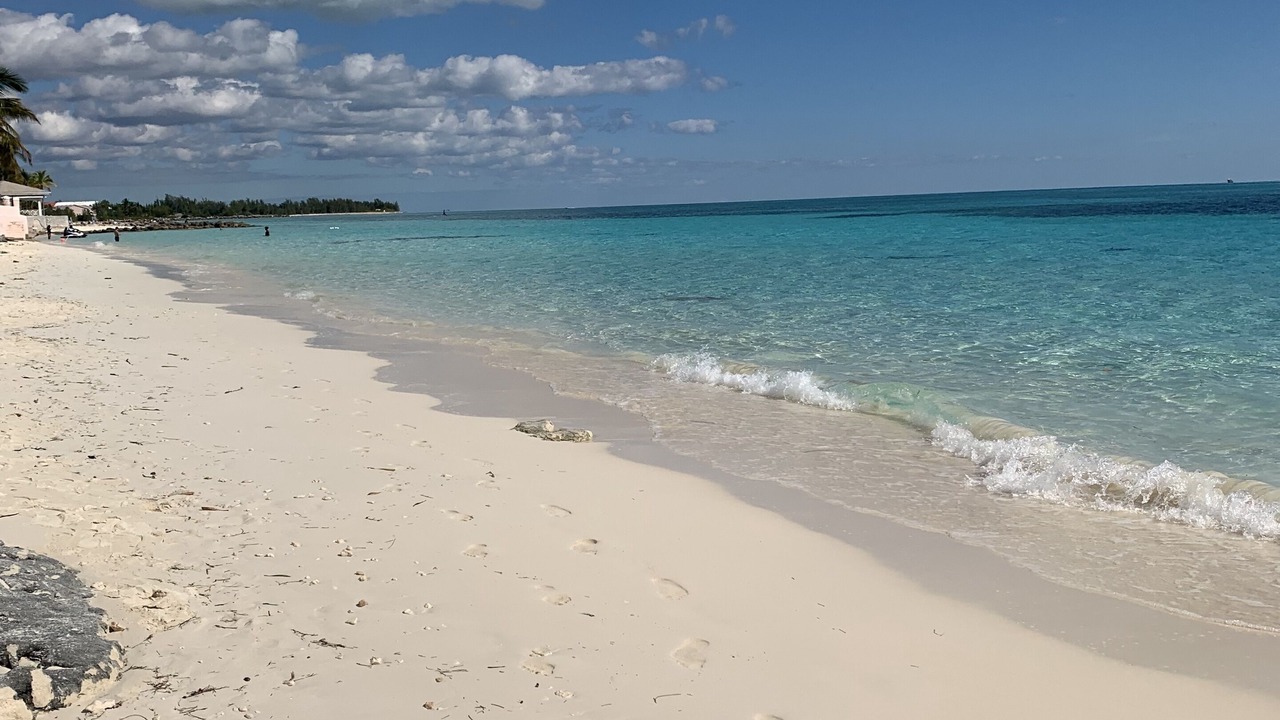 Photo of Others in Discovery Bay