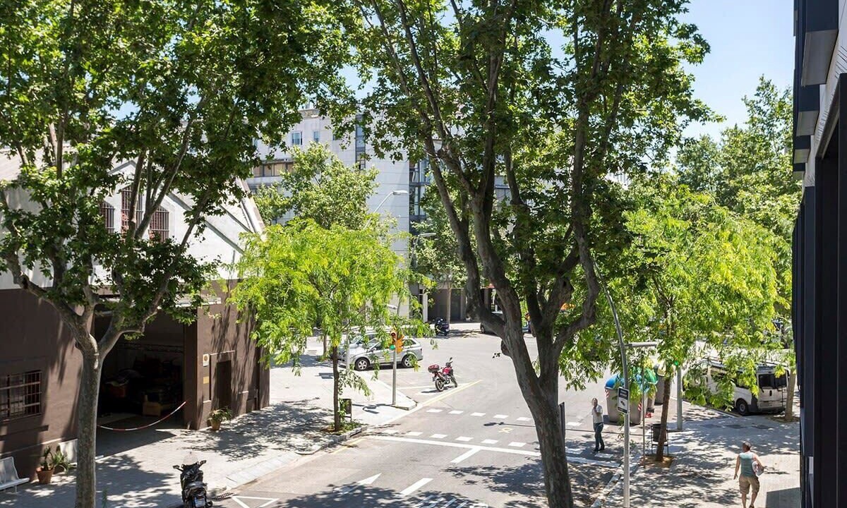 Photo of Others in El Parc i la Llacuna del Poblenou