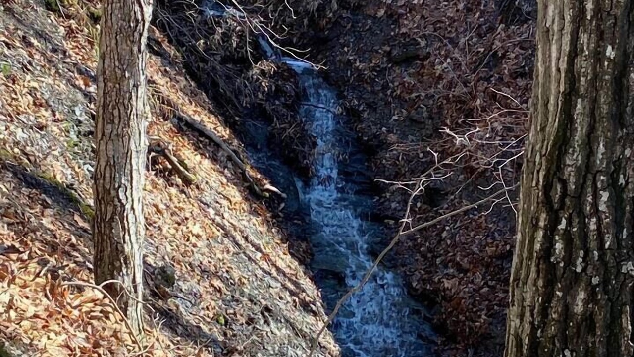 Photo of Others in Rushville