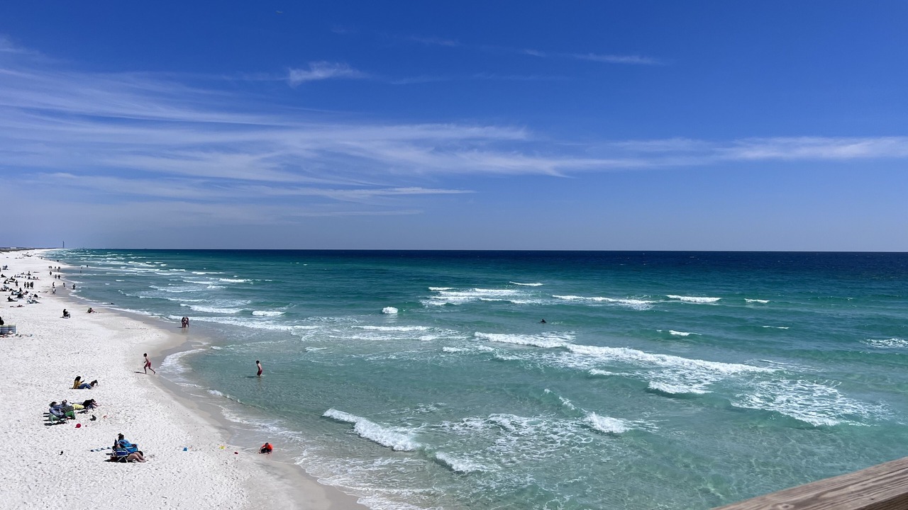 Photo of Others in Gulf Breeze