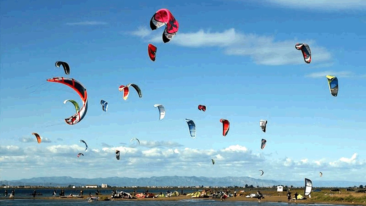 Photo of Others in L'Eucaliptus