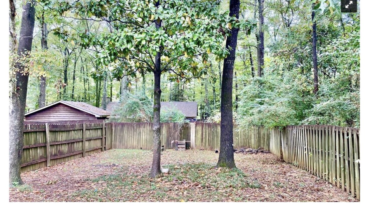 Photo of Outdoor in Auburn