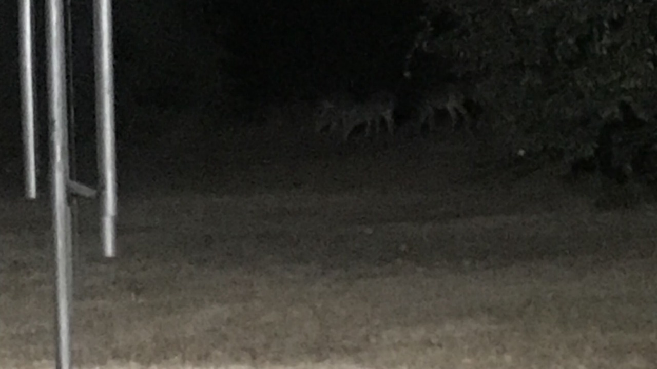 Photo of Others in Elrod