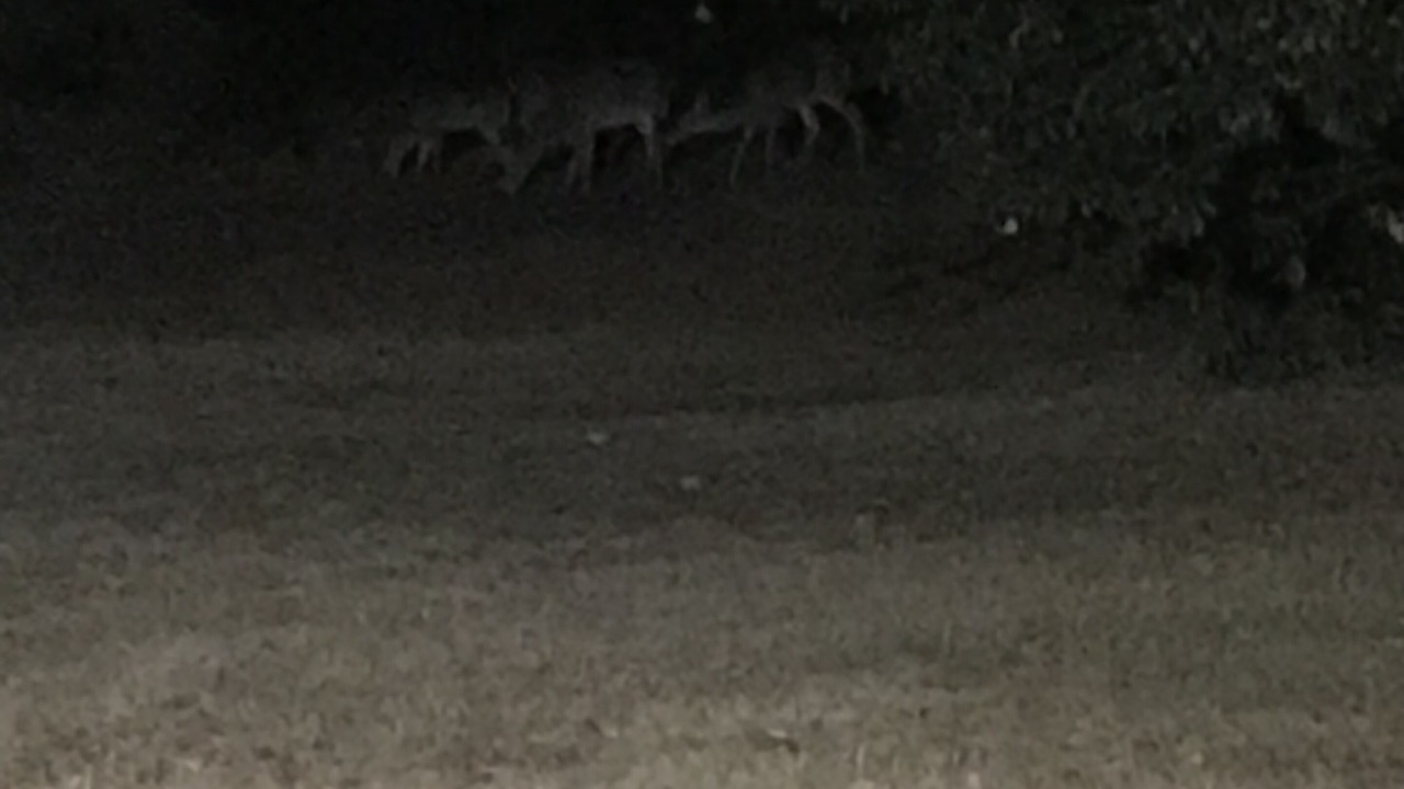Photo of Others in Elrod