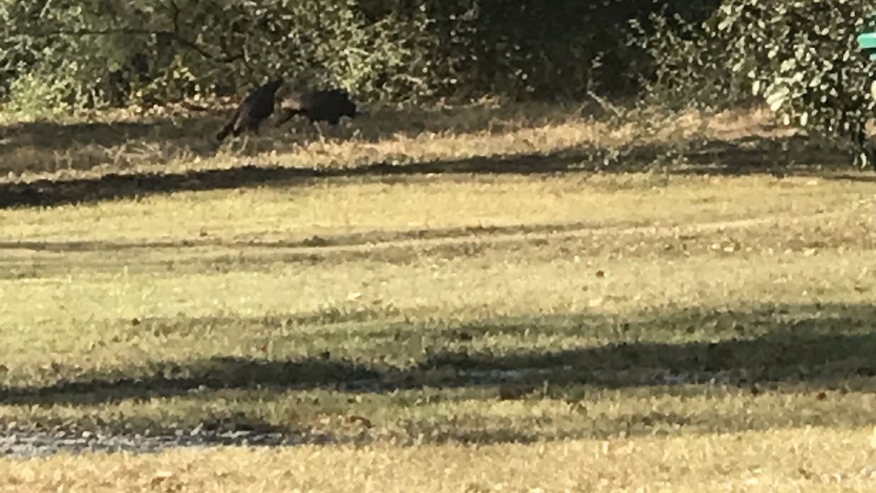 Photo of Others in Elrod