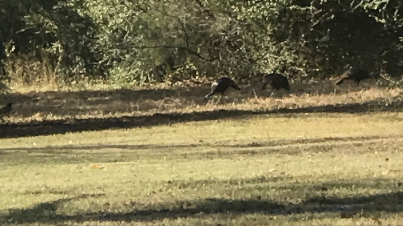 Photo of Others in Elrod