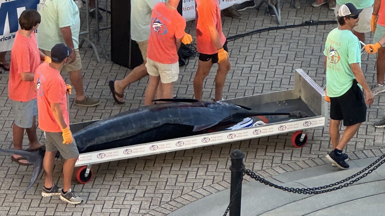 Photo of Others in Orange Beach
