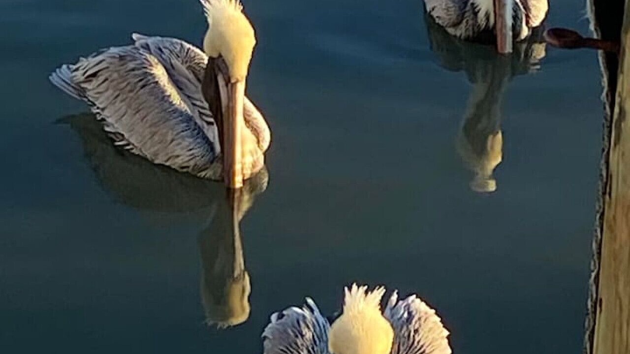 Photo of Others in Englewood