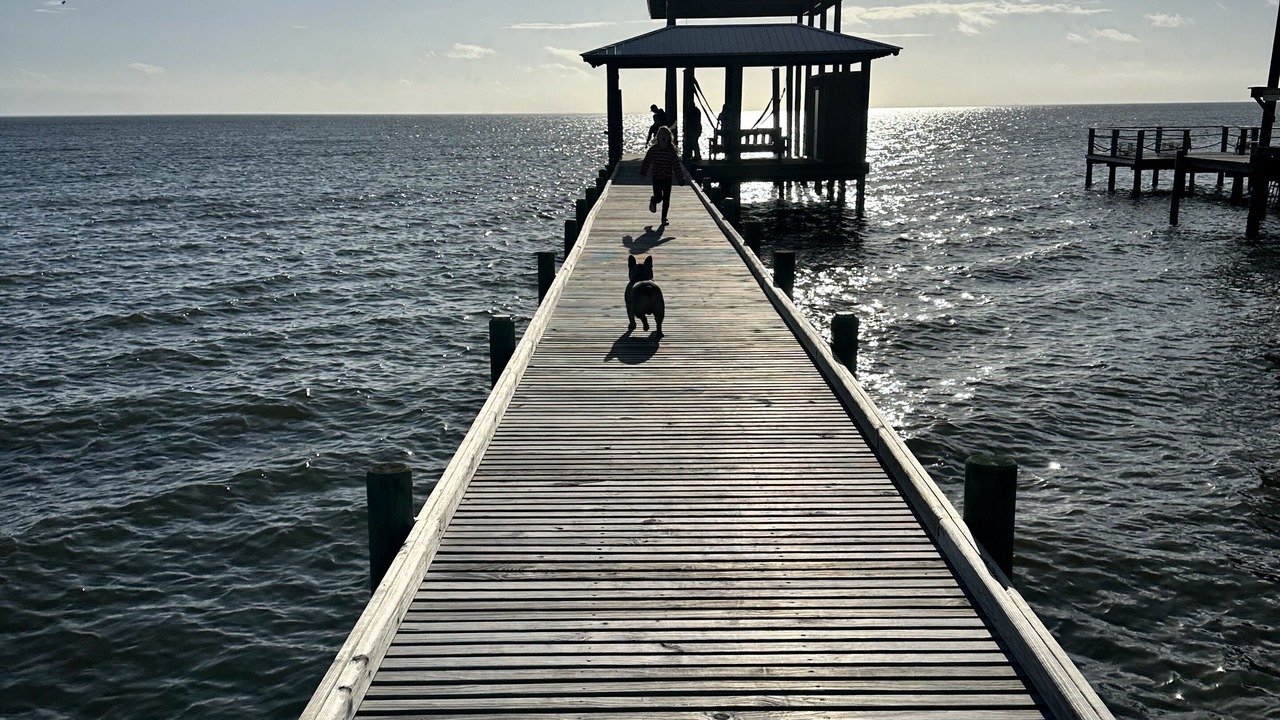 Photo of Outdoor in Fairhope