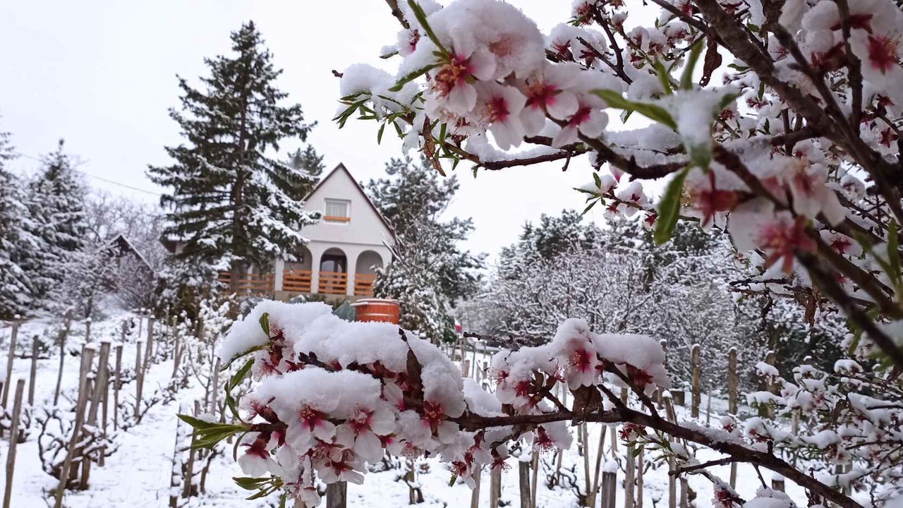 Photo of Outdoor in Pakozd