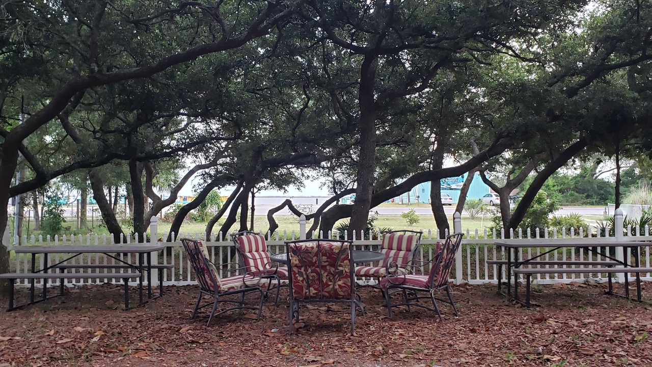 Photo of Outdoor in Ono Island