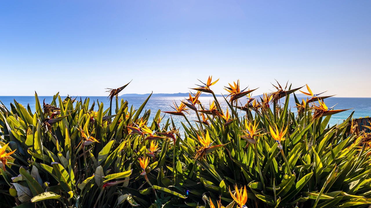 Photo of Outdoor in Coastal San Pedro