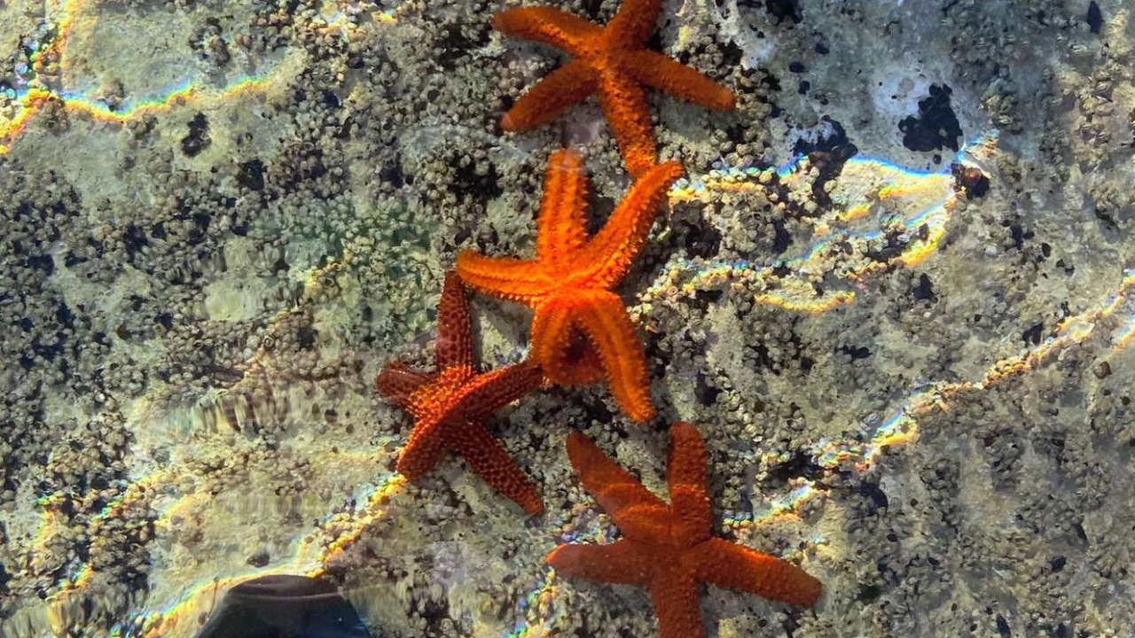 Photo of Others in Rainbow Bay