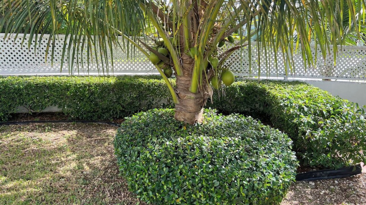 Photo of Outdoor in Westward Villas Subdivision