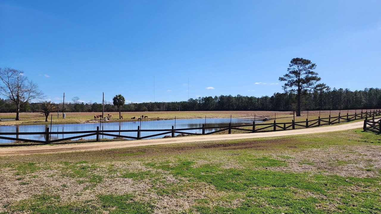 Photo of Outdoor in Perkinston