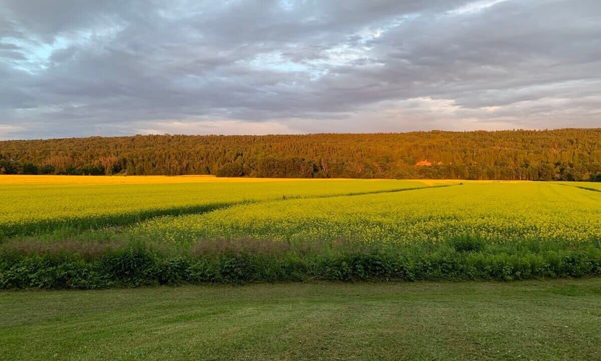Photo of Others in Riviere-du-Loup Regional County Municipality