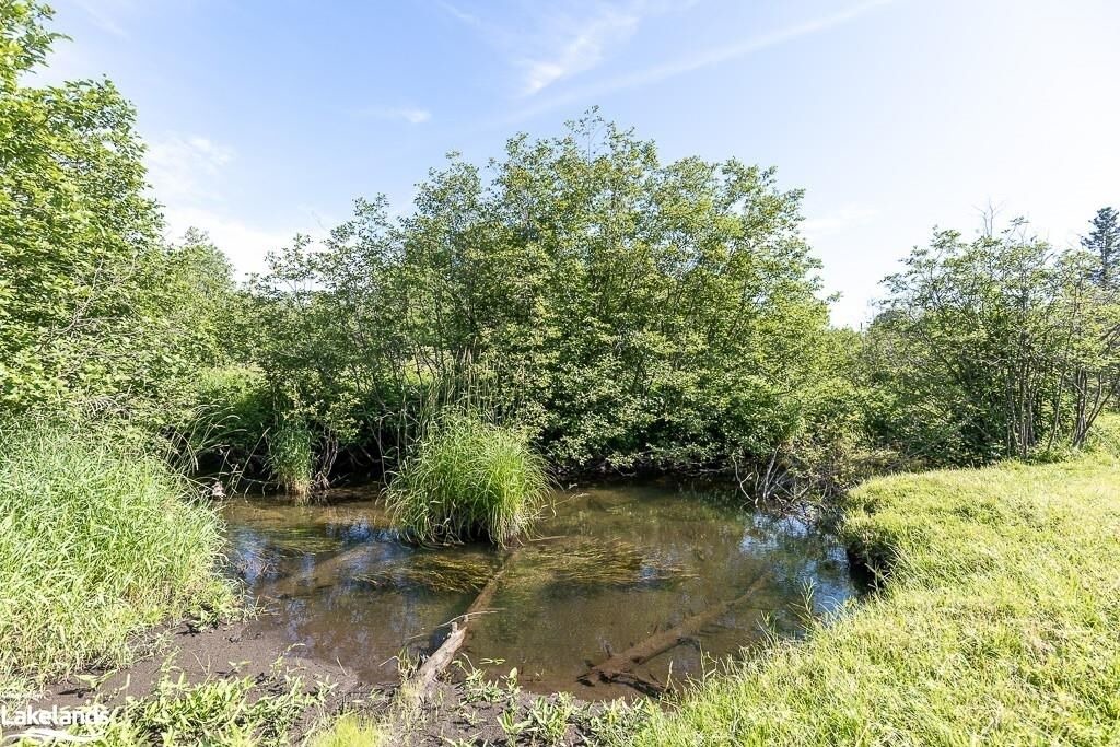 Photo of Outdoor in Oro-Medonte