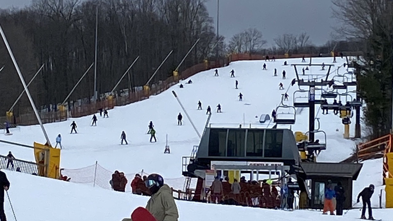 Photo of Others in Oro-Medonte