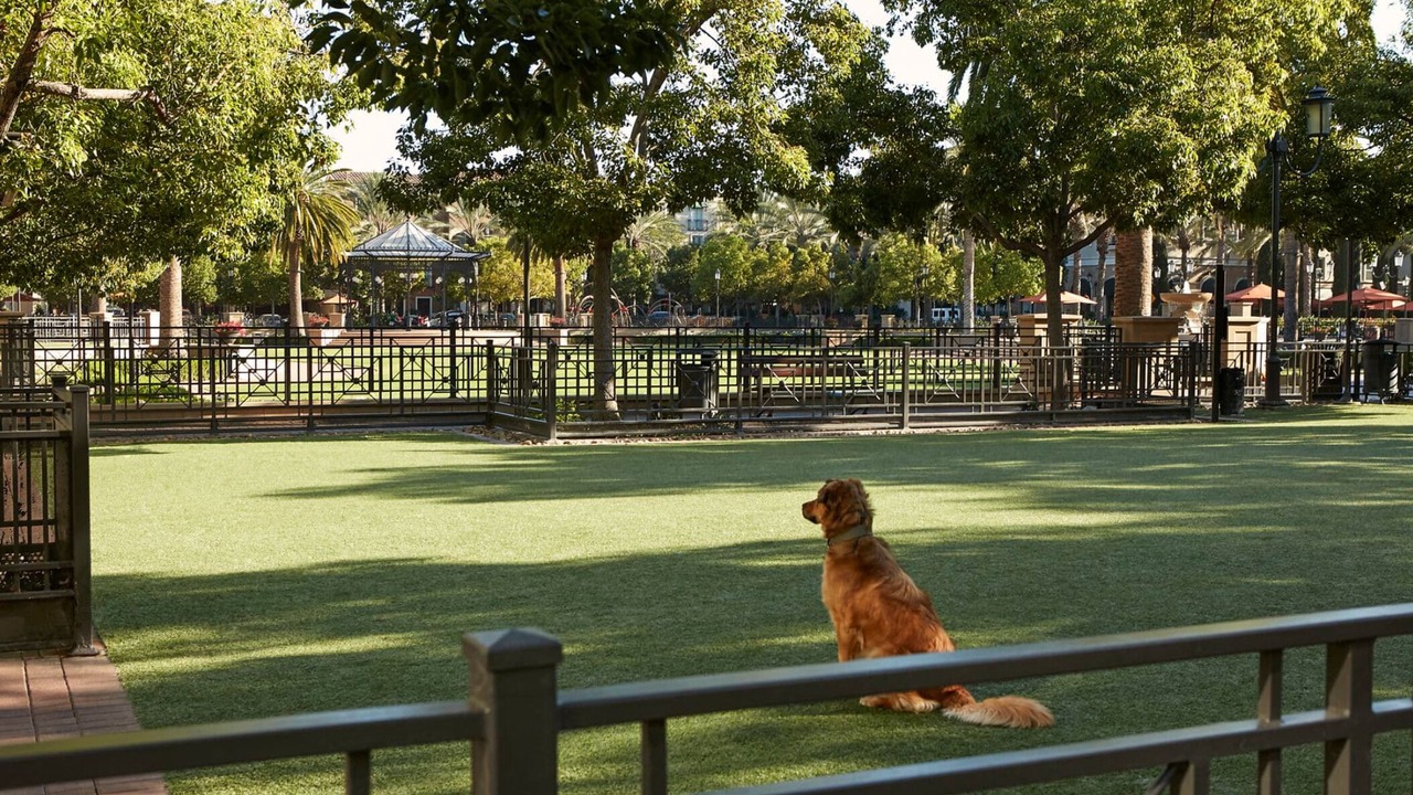Photo of Outdoor in Airport Area