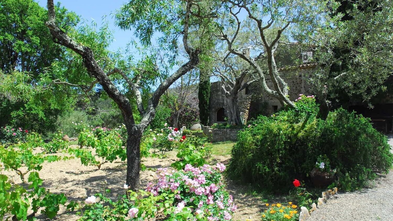 Photo of Outdoor in Forallac