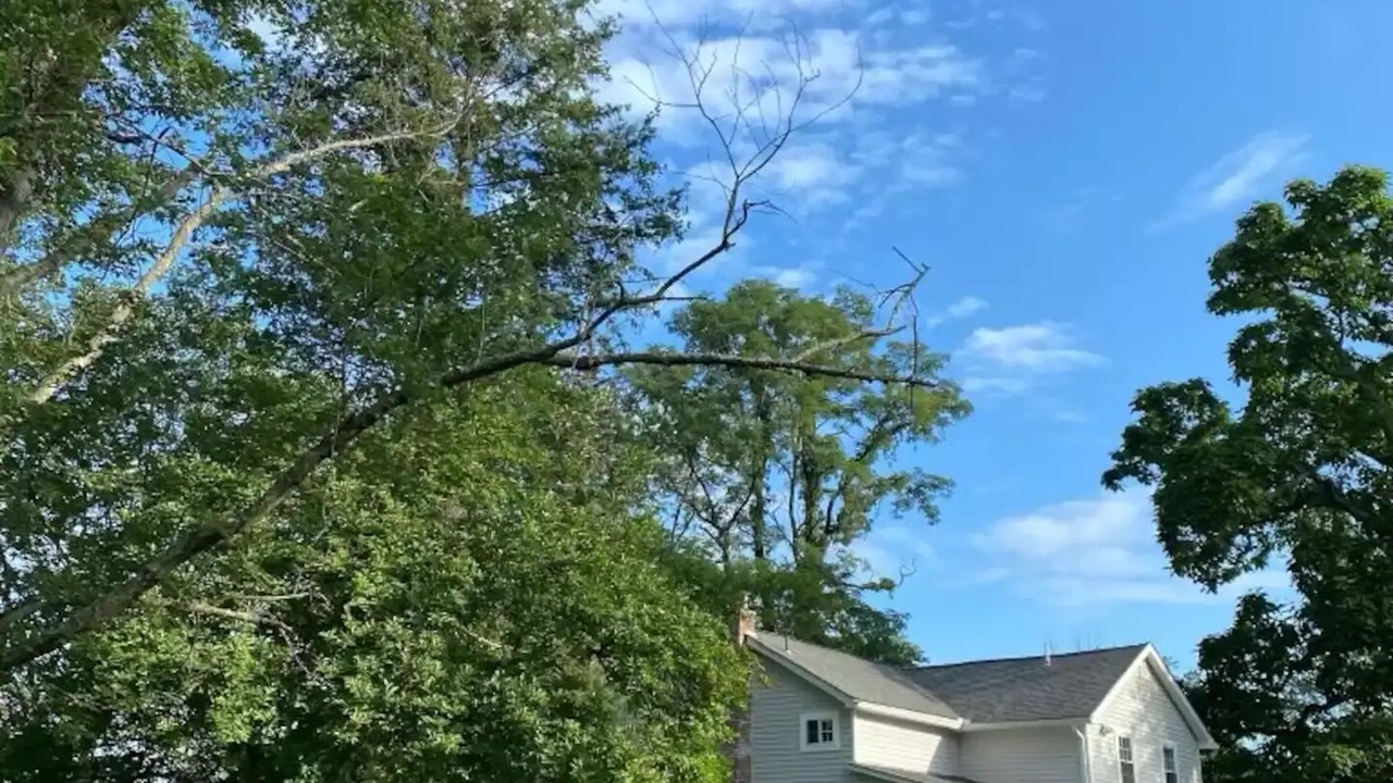 Photo of Outdoor in Walden